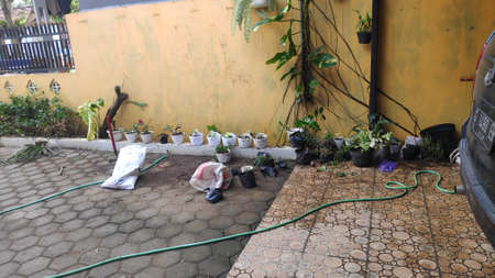 Lush landscaped garden with flowerbed and colorful plantsの写真素材