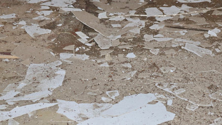 The damaged gypsum ceiling of the house fell to the floor
