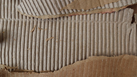 Cardboard corrugated pattern background, Texture of the brown paper box or cardboard with torn for...