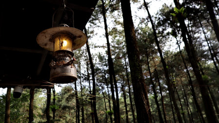 Vintage lantern hangs from wooden structure, illuminating a dense pine forest with soft, warm light, creating a peaceful and rustic atmosphere.の写真素材