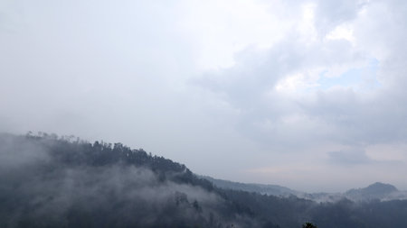 Misty mountains shrouded in lowhanging clouds create a serene and atmospheric landscape in the lush,...