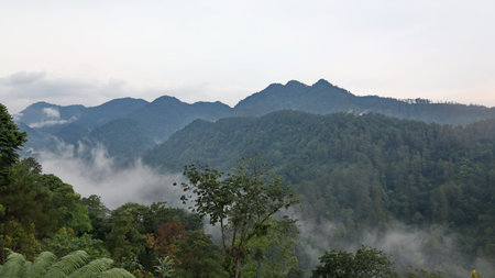 Lush green forest covers rolling hills under a hazy sky, creating a serene and peaceful landscape in...