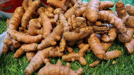 Pile of fresh turmeric roots displayed on artificial grass, showcasing their vibrant color and knobby texture at a local market.の写真素材