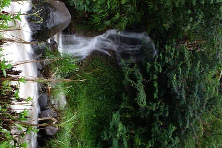 Waterfall cascading down rocks in lush green forest, creating peaceful scene with clear water and vibrant foliage, evoking tranquility and natural beauty.の写真素材