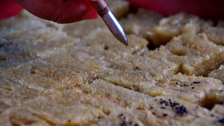 Hand gently touches the surface of a seed starting tray with tiny black seeds, showcasing the delicate process of germination and new beginnings in a garden setting.の写真素材