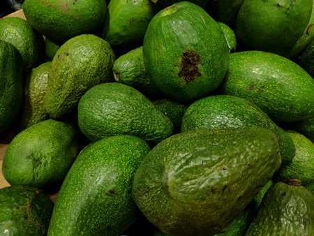 A fresh organic green avocado sits isolated on a white background as a healthy tropical ingredient...