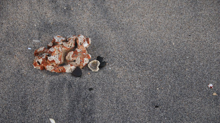 Closeup the dark, rough surface of the beach sand, featuring a dark grey texture, with red brown sea coral material, is suitable for background or wallpaperの写真素材