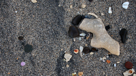 various types of sea stones, hard and coral, scattered across the sand and rocks in a blue sea beach landscape. The image is suitable for background or wallpaper.の写真素材