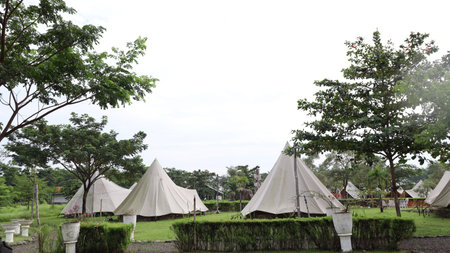 Outdoor. Group of teepees are set up in a grassy field. The teepees are white and are arranged in a...