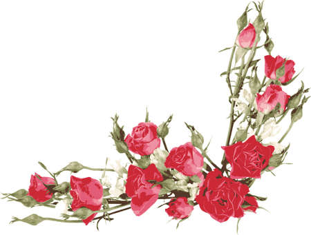 Angle vignette with red roses. Floral background and wallpapers. のイラスト素材