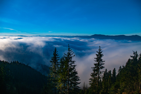 Carpathians morning in the fogの写真素材