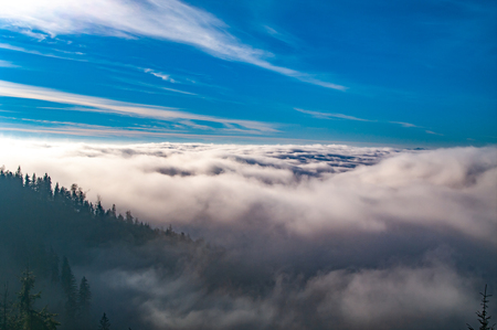 Carpathians morning in the fogの写真素材