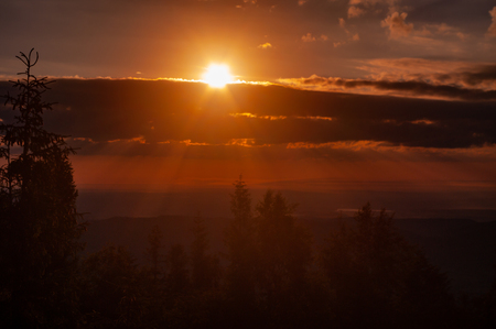 Sunset in the Carpathian forestの写真素材