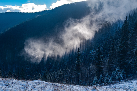 Mist rises above the forest in the Carpathiansの写真素材