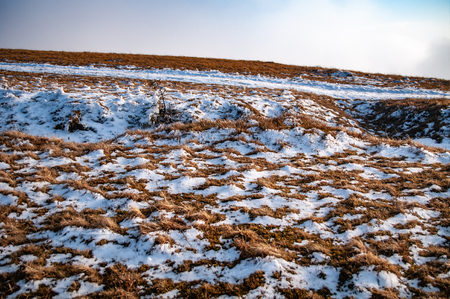 First snow on the grassの写真素材