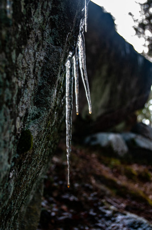 Icicles on a rock in winterの写真素材