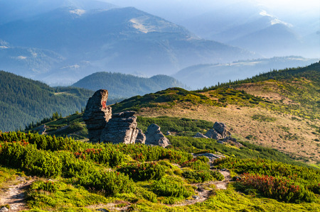 Large stones in the Carpathian mountainsの写真素材