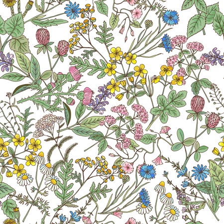 Hand drawn herbs background. Vector seamless patternのイラスト素材