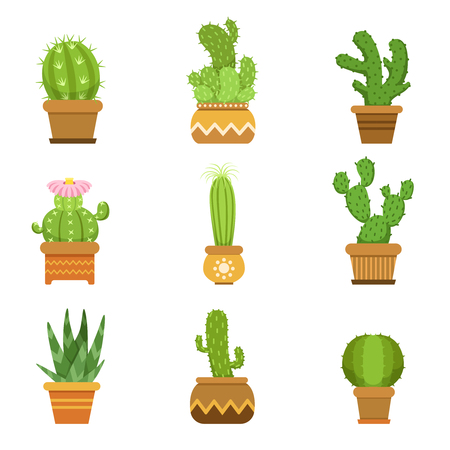 Decorative cactus in pots. Vector set. Desert plants isolate on white backgroundのイラスト素材