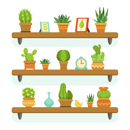 Cactuses in pots stand on the shelves. Decorative plants set isolate on white background. Vector illustrations setのイラスト素材