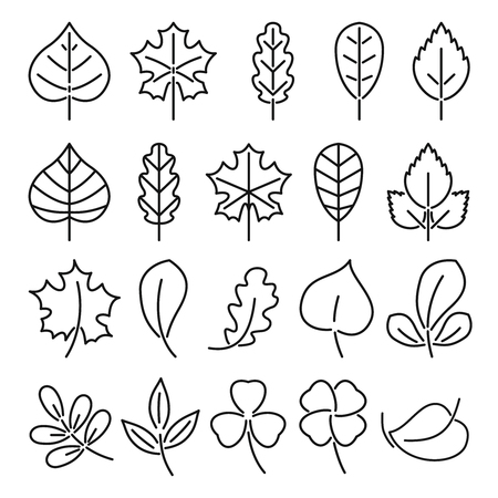 Leaf icon set. Linear vector illustration isolate on white background. Natural autumn plants. Pictures for logo designのイラスト素材