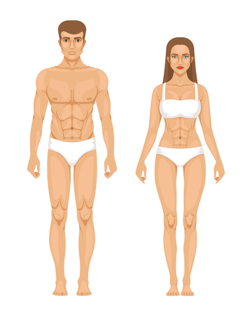Model of sporty man and woman standing front view. Different body parts. Vector illustrationの写真素材