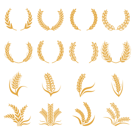 Silhouette of wheat. Corn vector symbols isolated on whiteのイラスト素材