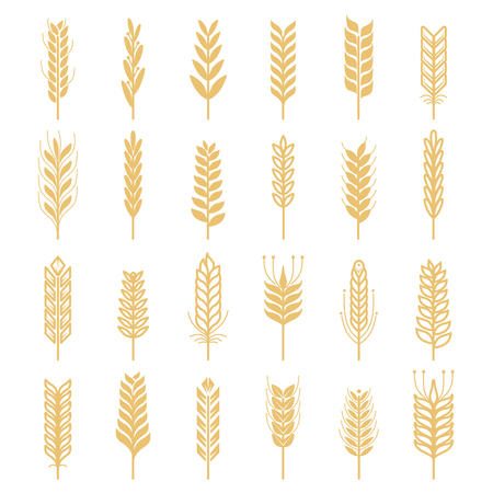Agricultural vector icons set. Nature pictures of wheatのイラスト素材