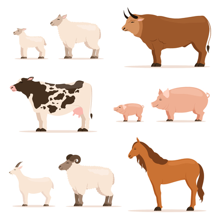 Animals Vector illustrations set in cartoon styleのイラスト素材