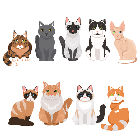 Domestic cats in cartoon style. Vector illustrations isolate on whiteのイラスト素材