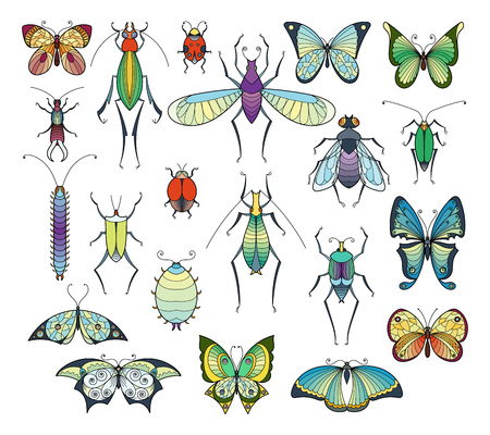 Colored insects isolated setのイラスト素材