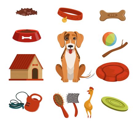 Different accessories for domestic pet. Dog in house. Vector illustrations setのイラスト素材