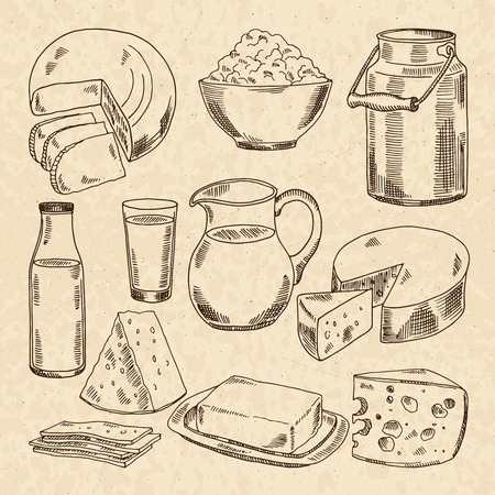 Vintage hand drawn illustrations of yogurt, cheeses and other fresh milk productsのイラスト素材