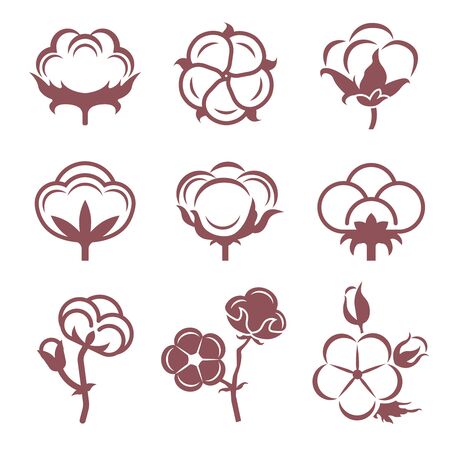 Monochrome stylized pictures set of white cotton flowers. Vector illustrations setのイラスト素材