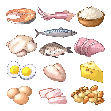 Useful products. Illustrations in cartoon style. Vector collection setの写真素材