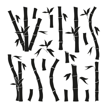Monochrome pictures set of bamboo. Jungle plants isolate on whiteのイラスト素材
