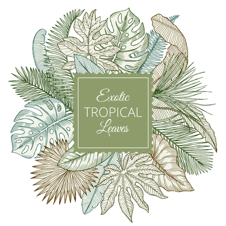 Background with different exotic tropical leaves and jungle palms. Hand drawn vector illustrationsのイラスト素材