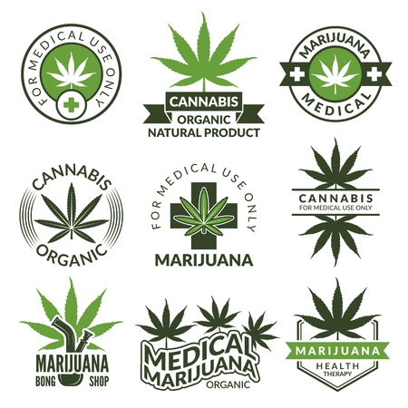 Labels set with different pictures of marijuana plants. Medical herbs, cannabis leaf.のイラスト素材