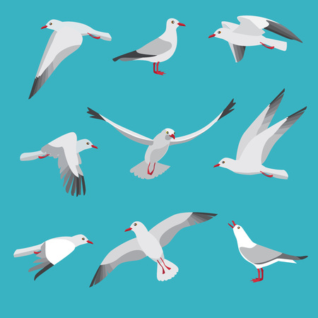 Atlantic seagull in different action poses. Cartoon flying birds seagull posing, wildlife mascot character. Vector illustrationのイラスト素材