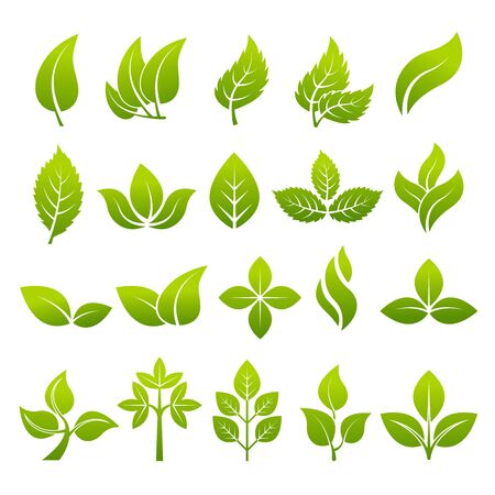 Illustrations of stylized plants to design logos. Vector leaf green, natural organic bio and ecoのイラスト素材