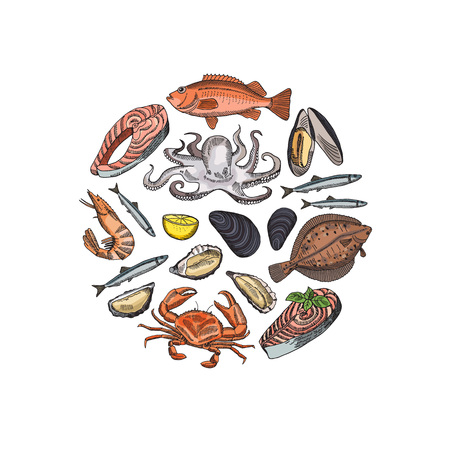 Vector hand drawn seafood elements in form of circle illustrationのイラスト素材