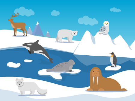 Arctic landscape with different polar animals. Vector animal arctic, polar landscape with penguin and bear illustrationのイラスト素材