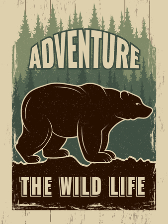 Retro poster with picture of wild bear. Vector bear wild and green forest poster, adventure wildlife illustrationのイラスト素材