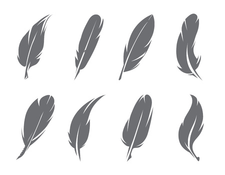 Vector illustrations of feathersのイラスト素材