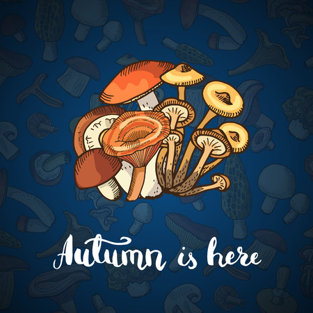 Vector hand drawn mushrooms background illustrationのイラスト素材