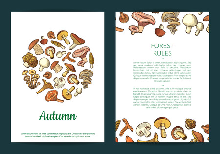 Vector hand drawn mushrooms card, flyer or brochure template illustrationのイラスト素材