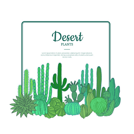 Vector hand drawn cacti plantsのイラスト素材