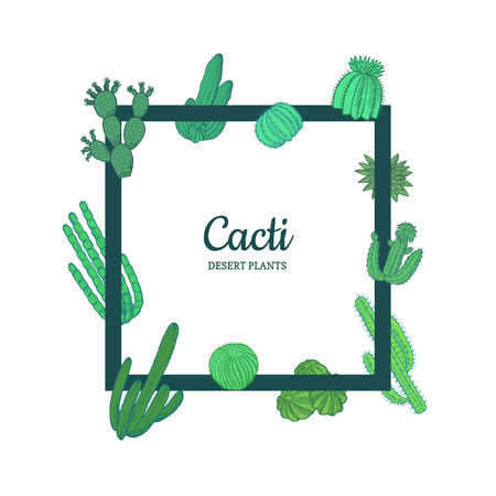 Vector hand drawn desert cacti plants flying around frame with place for text illustrationのイラスト素材