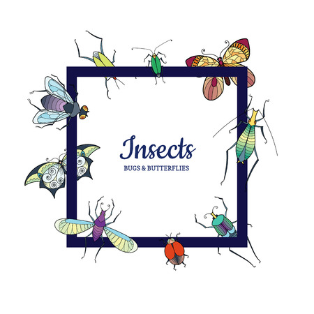 Vector hand drawn insects flying around frame with place for text illustrationのイラスト素材
