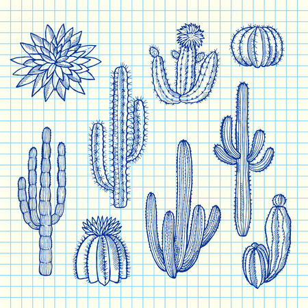 Vector hand drawn wild cacti plants set on blue cell sheet background illustration. Cactus plant succulent, cacti floral sketchのイラスト素材